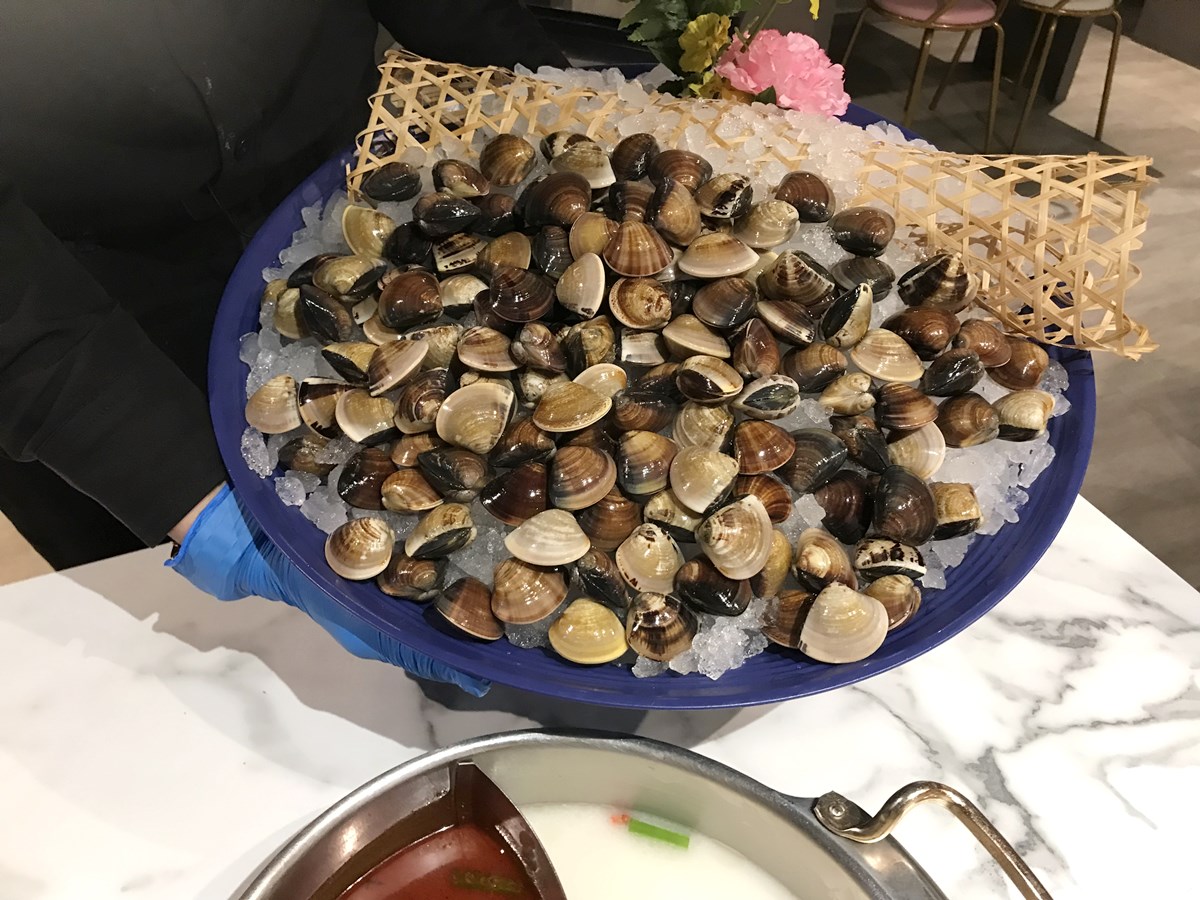 最低只要268元！石頭火鍋＋70款自助吧吃到飽，加碼送100顆「巨無霸蛤蜊」