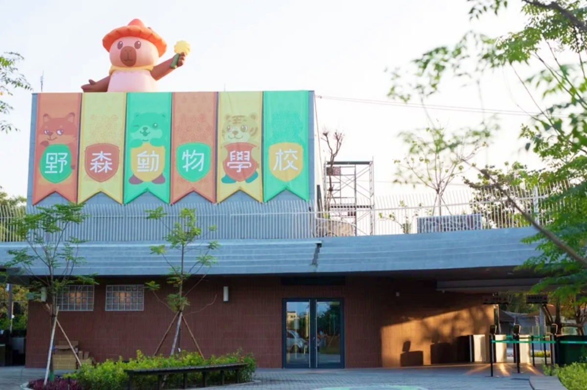 在地人免費逛！高雄全新「森林魔法動物園」１月開放，超過20種萌寵動物集合