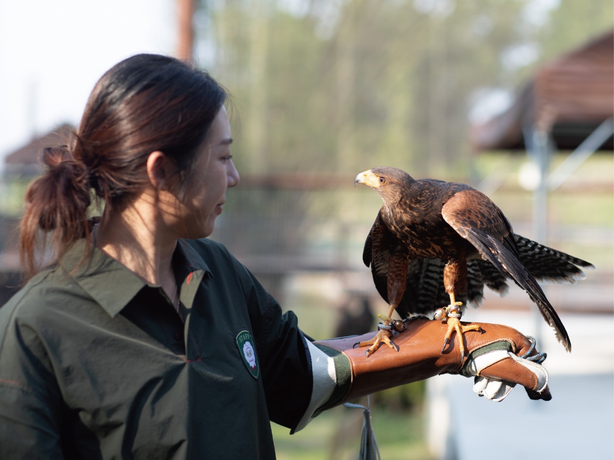 在地人免費逛！高雄全新「森林魔法動物園」１月開放，超過20種萌寵動物集合