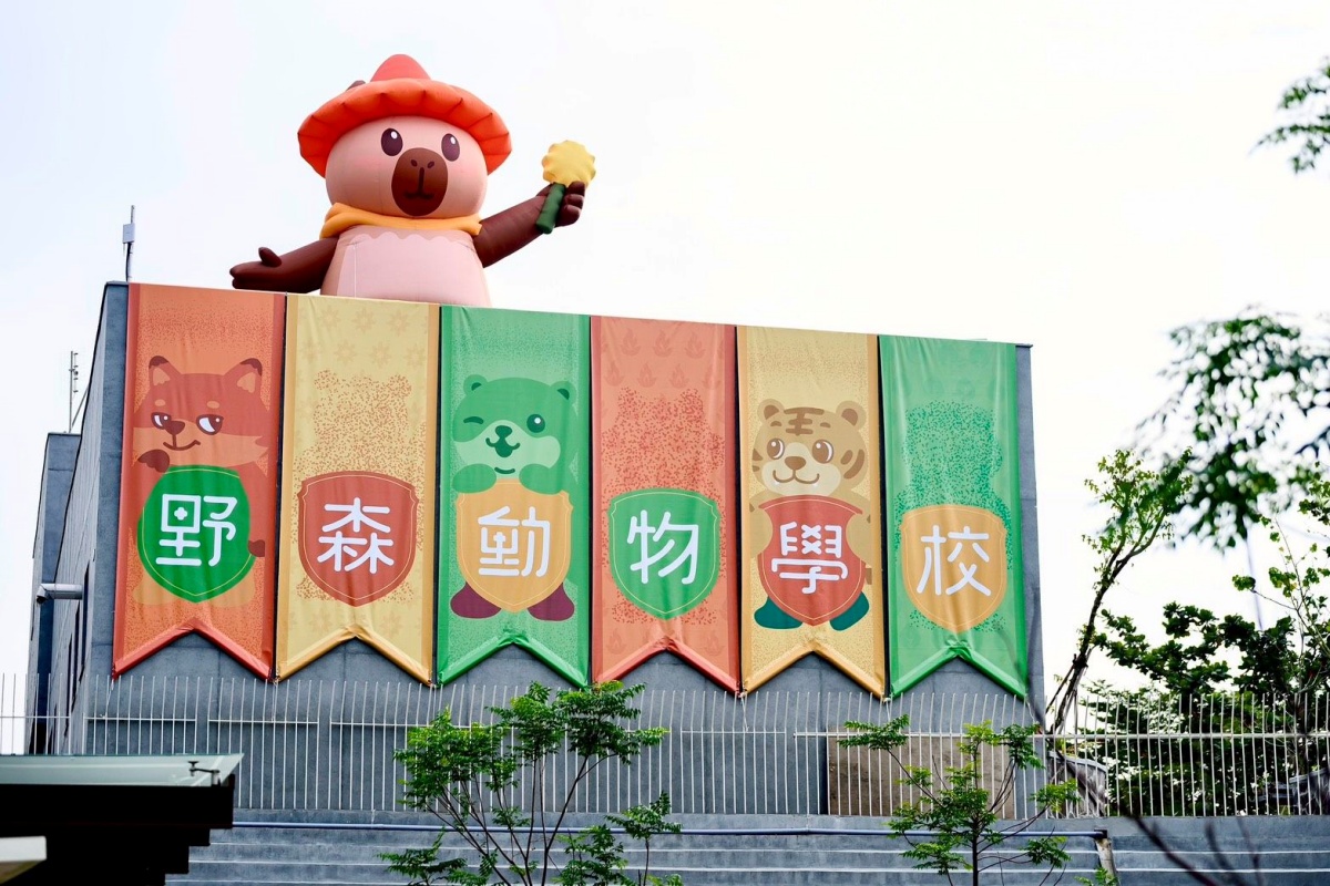 在地人免費逛！高雄全新「森林魔法動物園」１月開放，超過20種萌寵動物集合