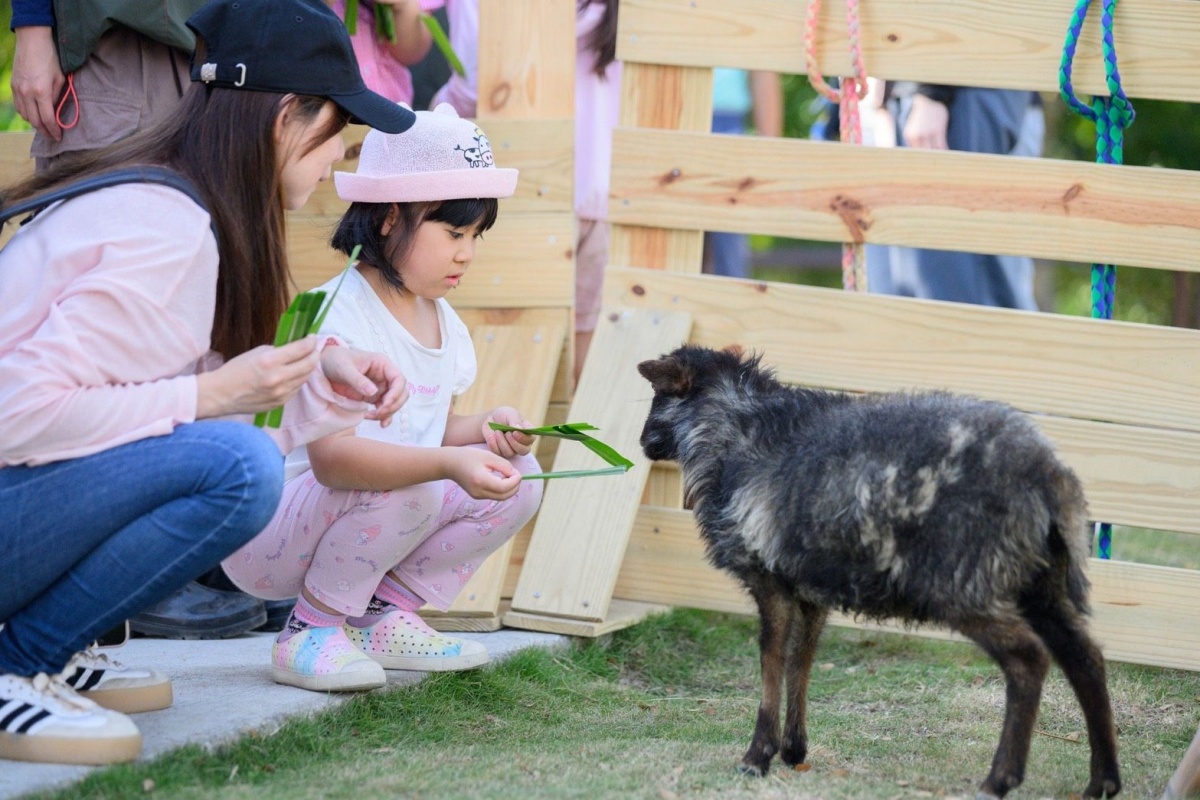 在地人免費逛!高雄全新「森林魔法動物園」1月開放,超過20種萌寵動物集合 在地人免費逛!高雄全新「森林魔法動物園」1月開放,超過20種萌寵動物集合