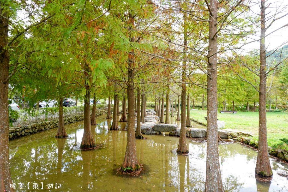 180度湖景下午茶！日月潭秘境咖啡８間：昭和池畔小屋、玻璃屋草地披薩