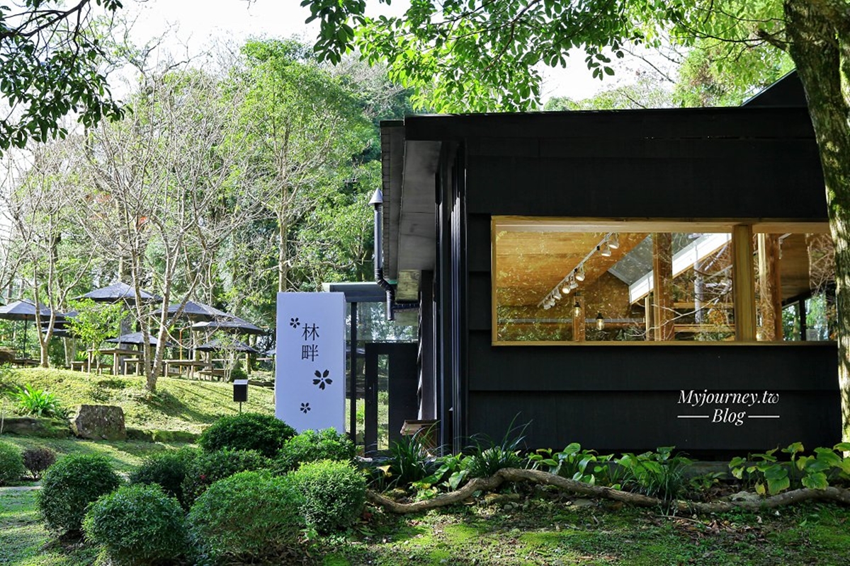 冬天美到春天！海拔700米「深山祕境咖啡」：落羽松接力櫻花，拍宮崎駿魔法森林