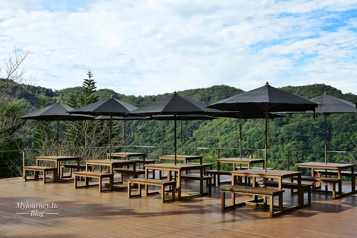 冬天美到春天！海拔700米「深山祕境咖啡」：落羽松接力櫻花，拍宮崎駿魔法森林