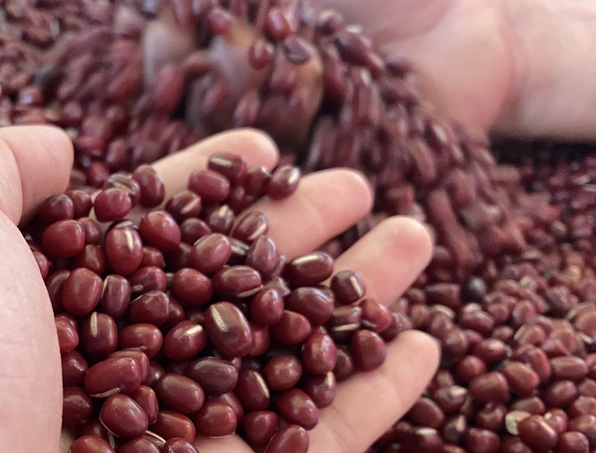 全聯年度熱銷甜點是「這款」！不到12元就能吃，網友大讚甜而不膩、CP值高