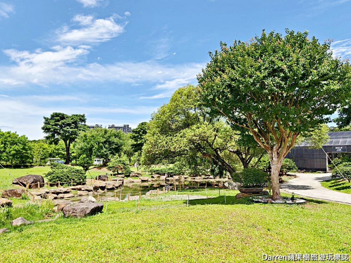 門票放大術！淡水「鹿角蕨祕境」200抵300，體驗上板DIY、日式庭院寵物友善