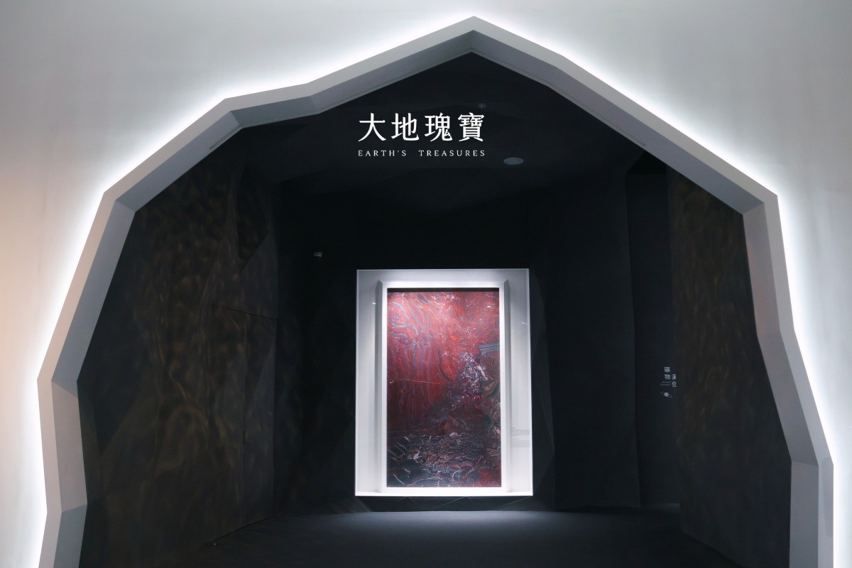 免費長達一整年！台中科博館「每週這時段」參觀免門票，看巨大暴龍、木乃伊