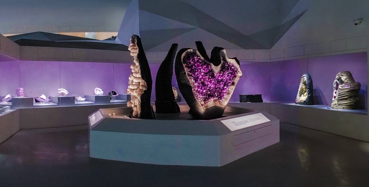 免費長達一整年！台中科博館「每週這時段」參觀免門票，看巨大暴龍、木乃伊