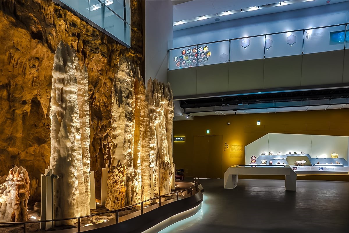 免費長達一整年！台中科博館「每週這時段」參觀免門票，看巨大暴龍、木乃伊