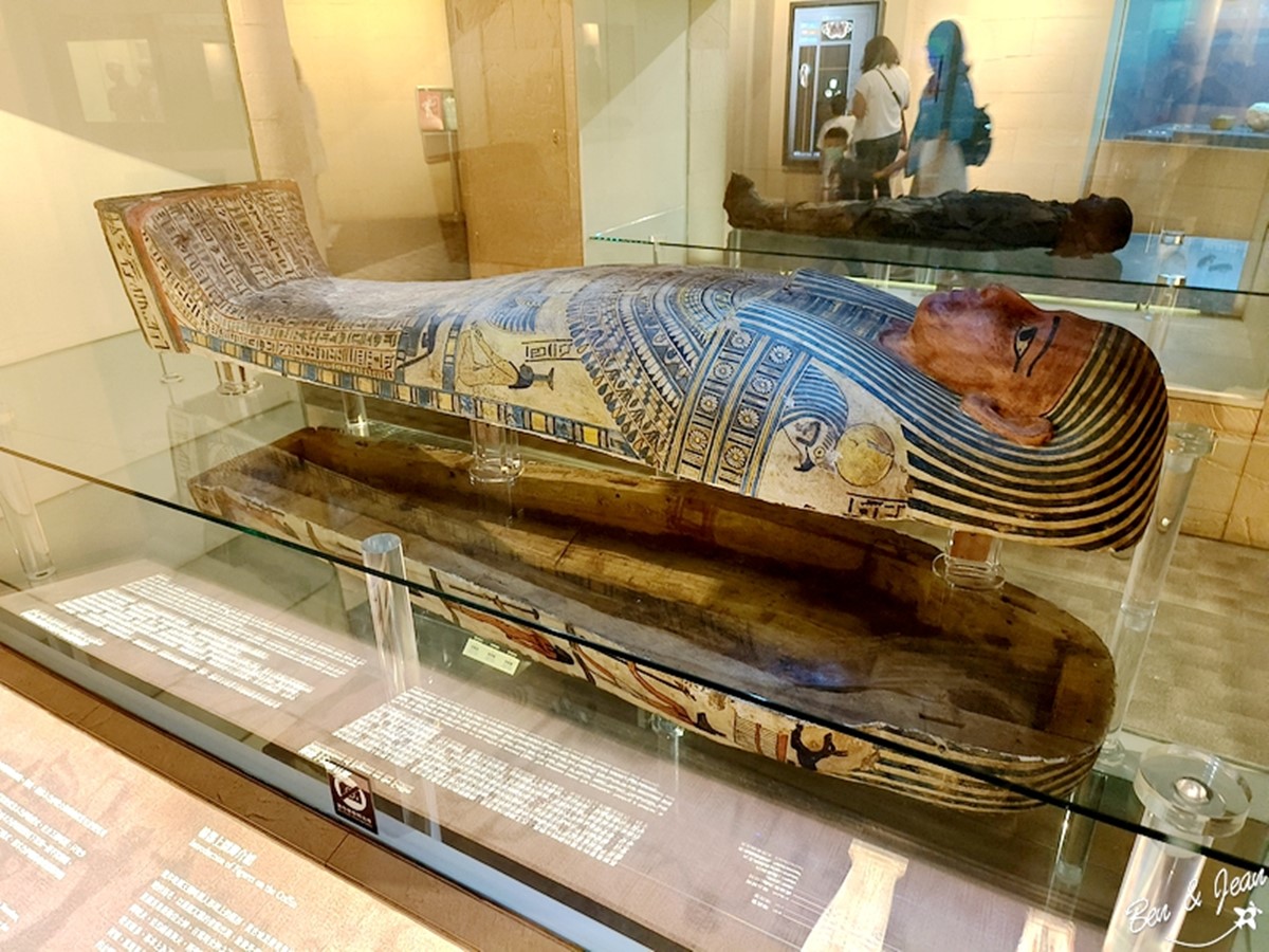 免費長達一整年！台中科博館「每週這時段」參觀免門票，看巨大暴龍、木乃伊