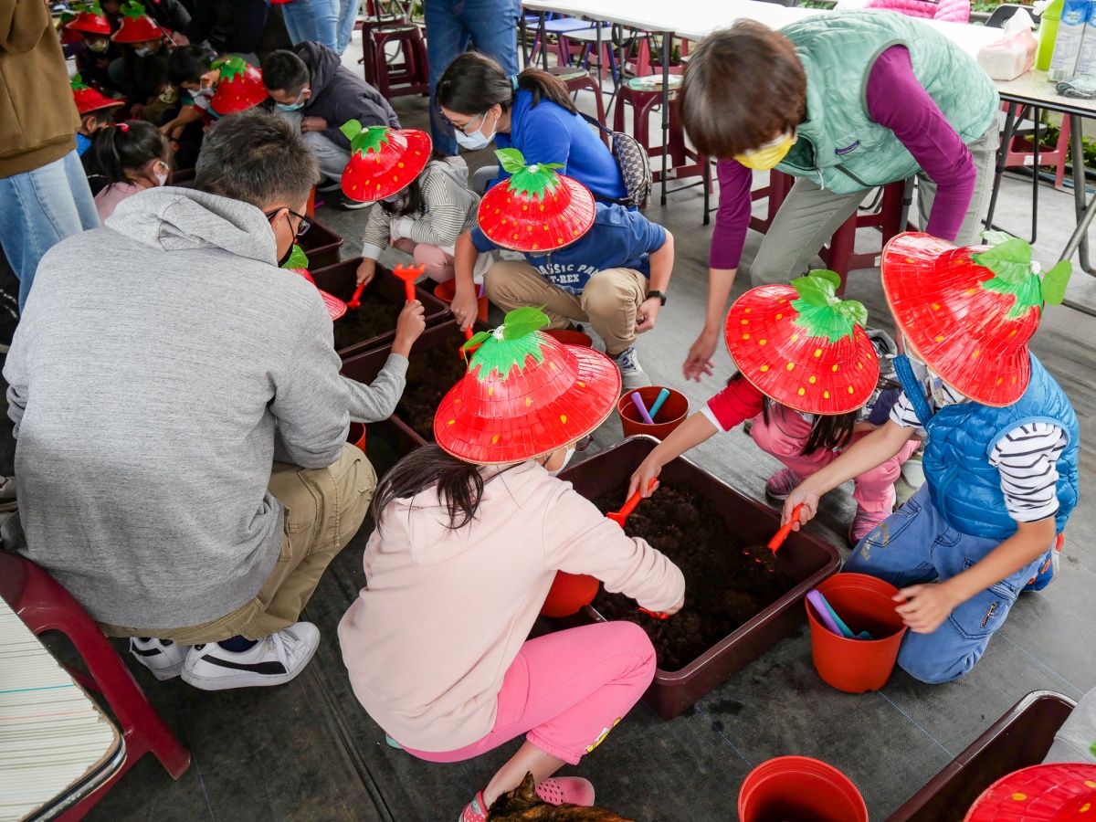 免踩泥巴下雨天也能去！６家好玩草莓園：DIY大福、超Q草莓裝、現烤桶仔雞