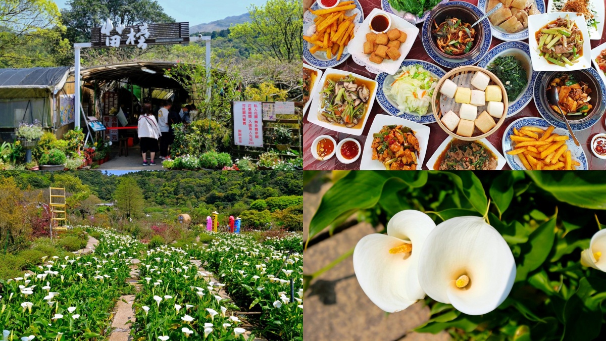 陽明山美食：苗榜