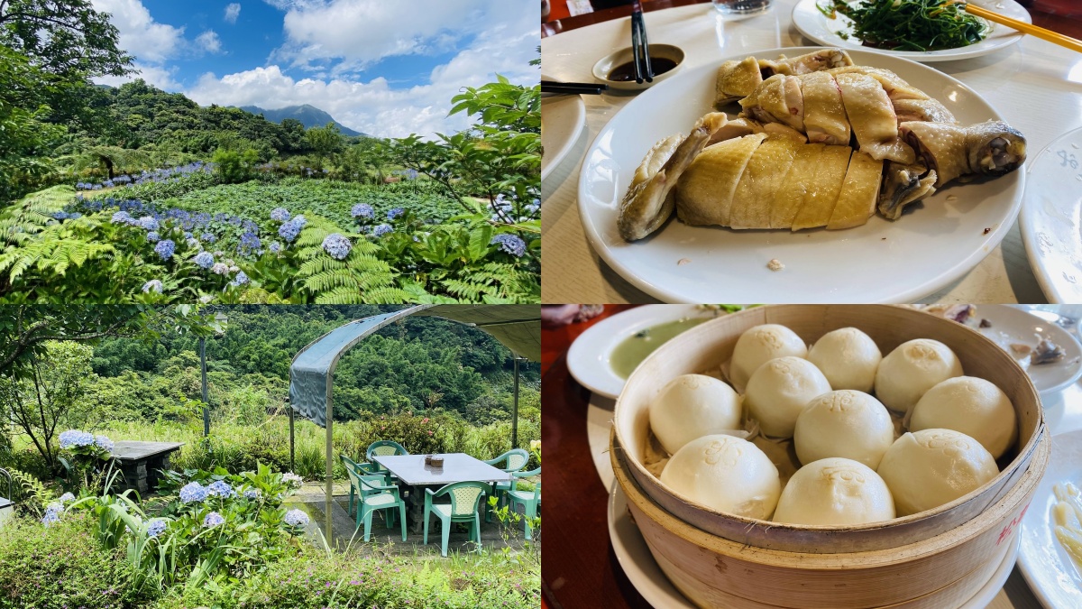陽明山美食：華之友自然景觀農園