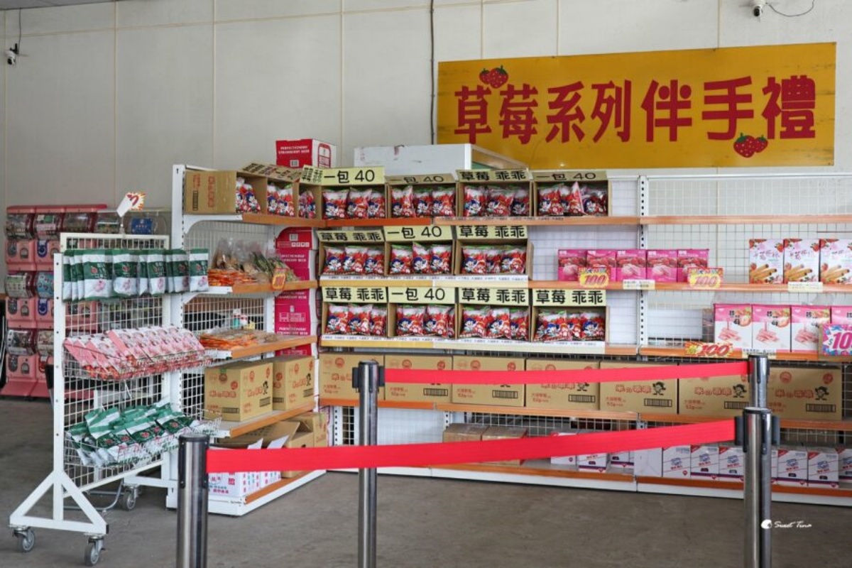 大湖草莓季必收！８間強大果園懶人包：稀有白草莓、韓系下午茶，連毛孩也能去