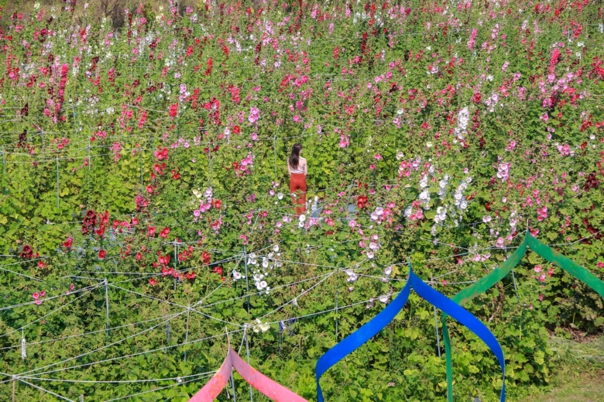 打卡巨型手套、水龍頭！彰化12間觀光工廠攻略：親子DIY、餅乾城堡免費吃