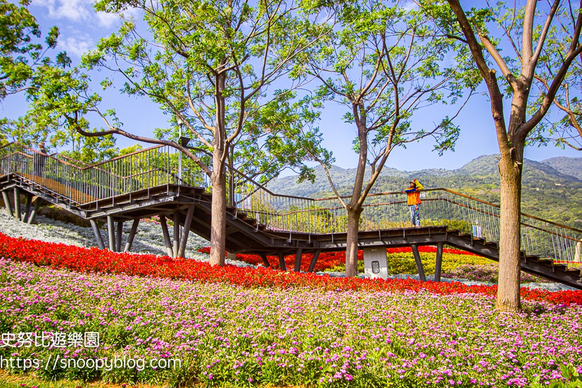 北投「台版富良野」彩色花海要來了!出動16萬盆花卉,免費拍到3月中旬 北投「台版富良野」彩色花海要來了!出動16萬盆花卉,免費拍到3月中旬