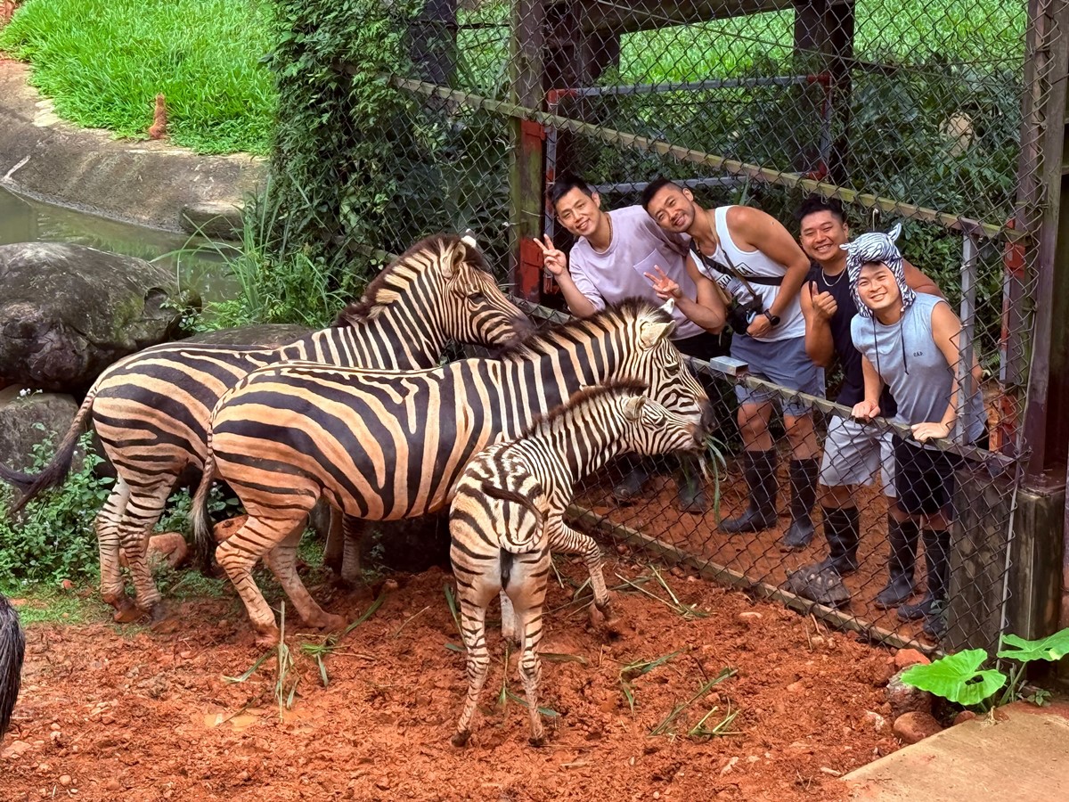2026寒假親子出遊攻略！全台景點門票、飯店住宿優惠懶人包，遊樂園免費玩
