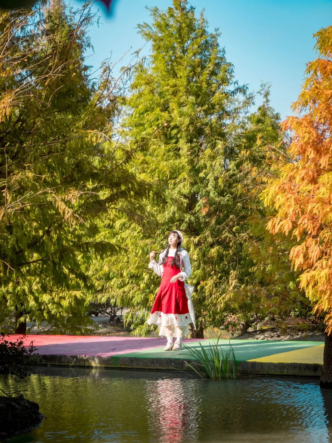 彩虹橋下「水上落羽松」正美!台中后里秘境,免門票拍出夢幻倒影 彩虹橋下「水上落羽松」正美!台中后里秘境,免門票拍出夢幻倒影