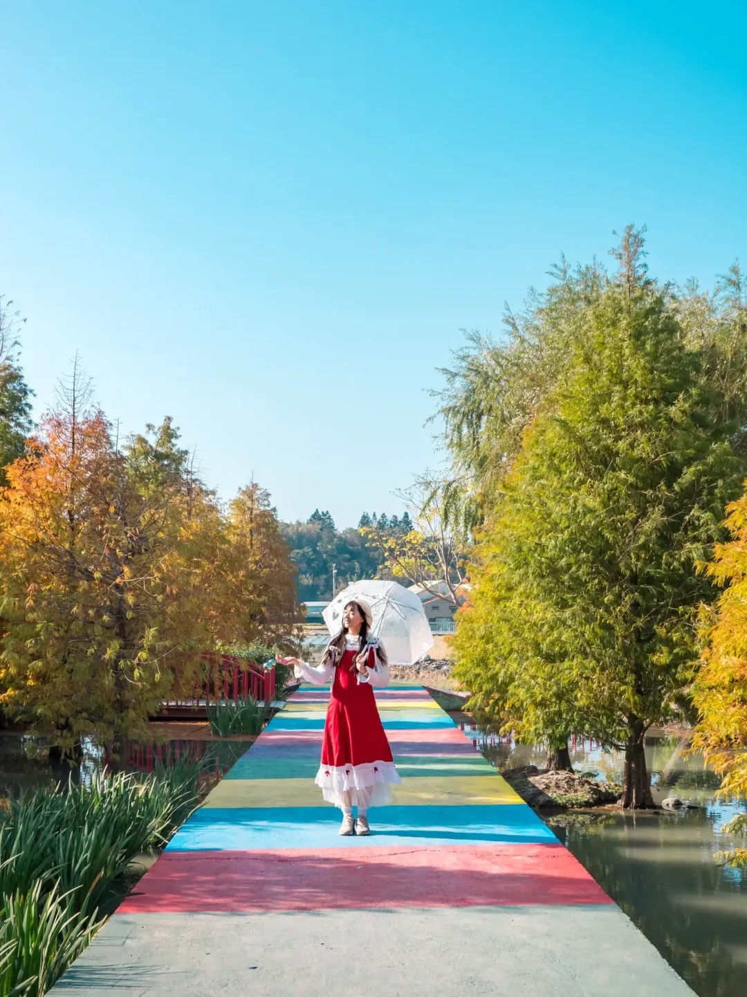 彩虹橋下「水上落羽松」正美!台中后里秘境,免門票拍出夢幻倒影 彩虹橋下「水上落羽松」正美!台中后里秘境,免門票拍出夢幻倒影