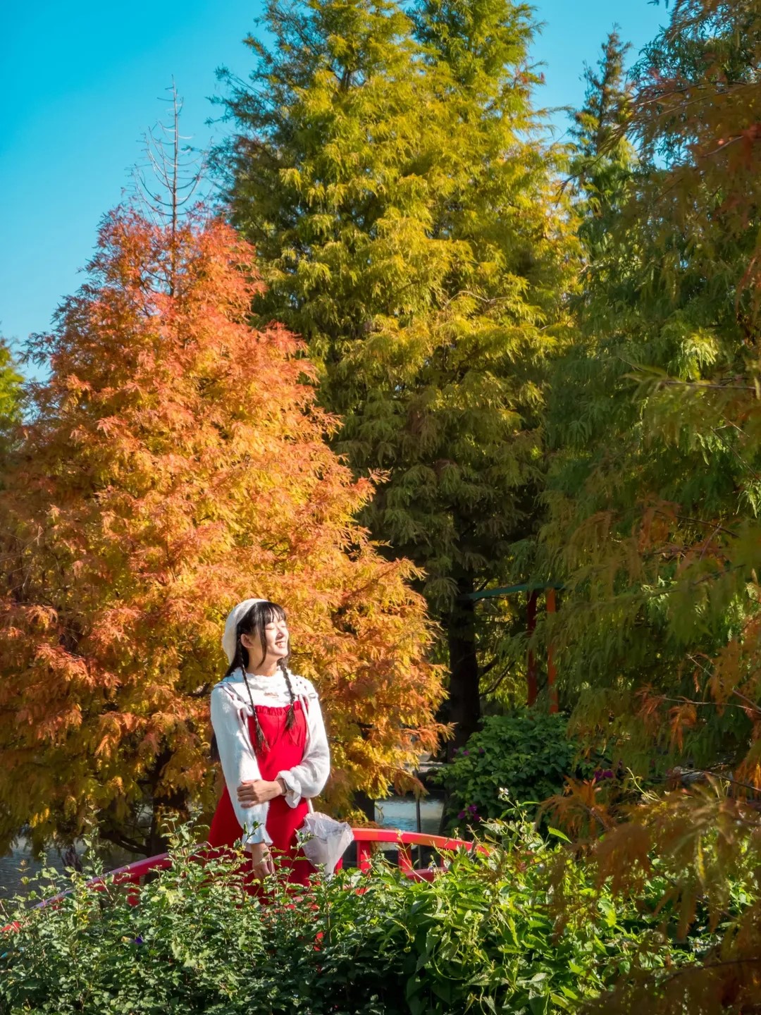 彩虹橋下「水上落羽松」正美!台中后里秘境,免門票拍出夢幻倒影 彩虹橋下「水上落羽松」正美!台中后里秘境,免門票拍出夢幻倒影