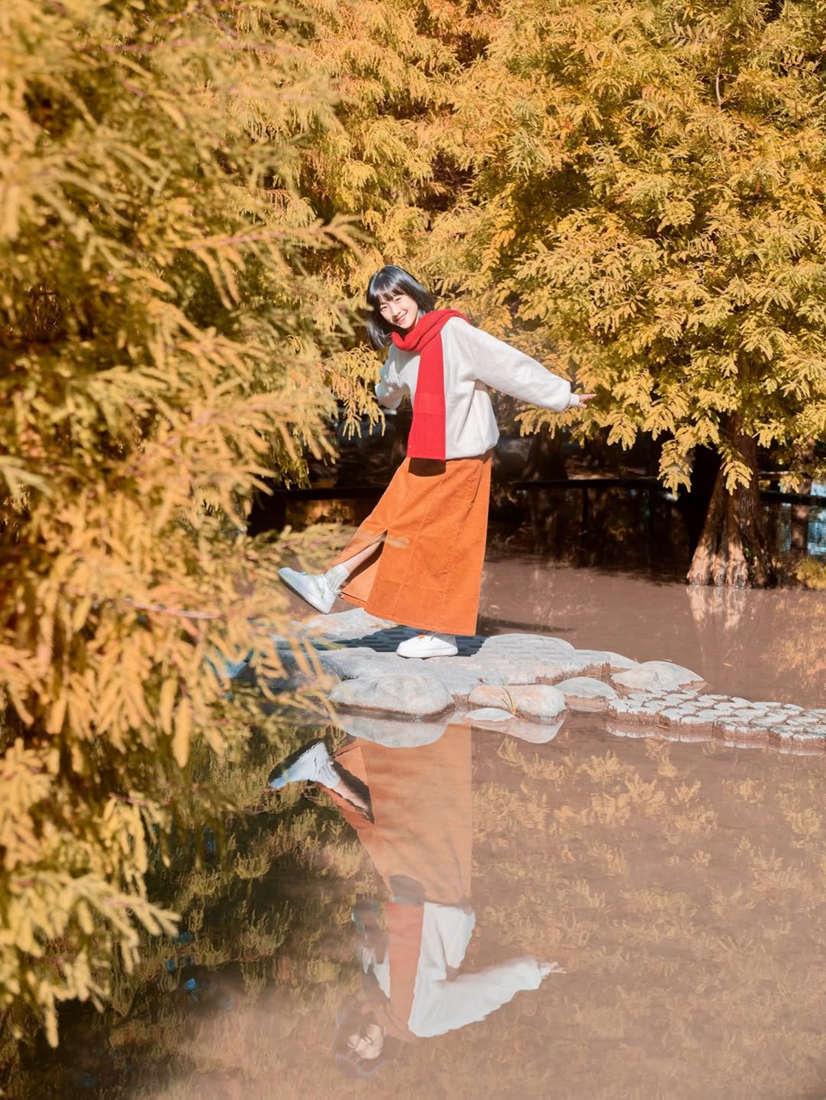 落羽松愛心水池超夢幻！台中后里「水上森林」轉紅了，加碼波斯菊花海、水上步道