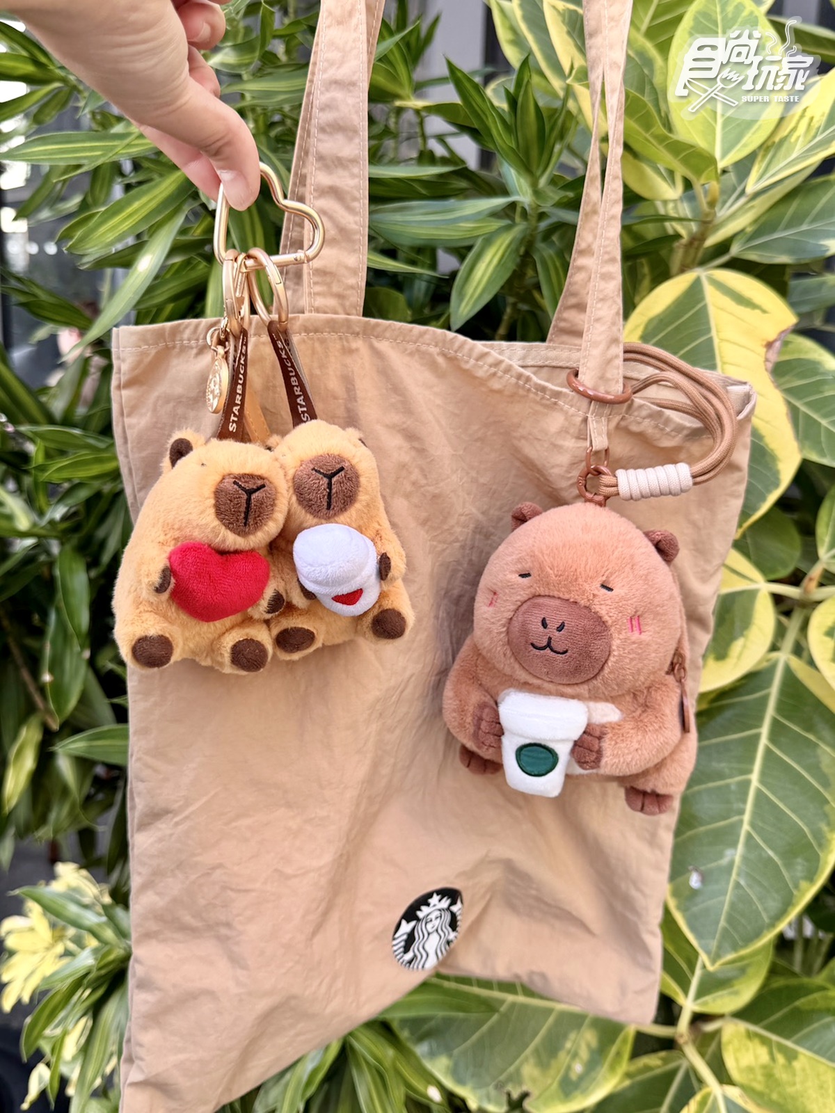 星巴克買一送一喝到月底！奶香烤舒芙蕾那堤、情人節周邊、秒殺款夾娃娃機