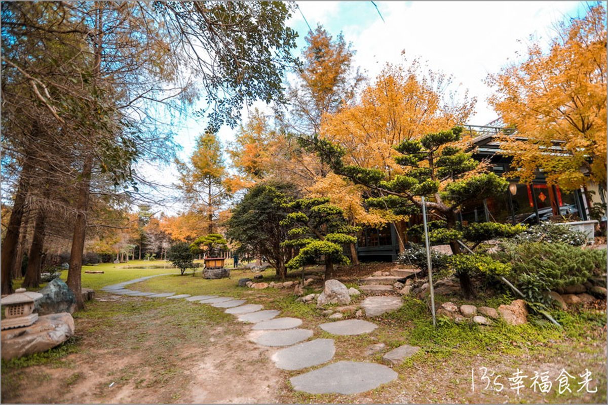 新竹關西秘境！玻璃屋餐廳賞落羽松、喝仙草雞湯，隱藏版愛心池倒影預約才能進