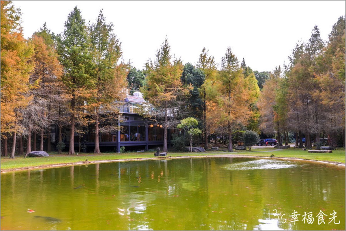 新竹關西秘境！玻璃屋餐廳賞落羽松、喝仙草雞湯，隱藏版愛心池倒影預約才能進
