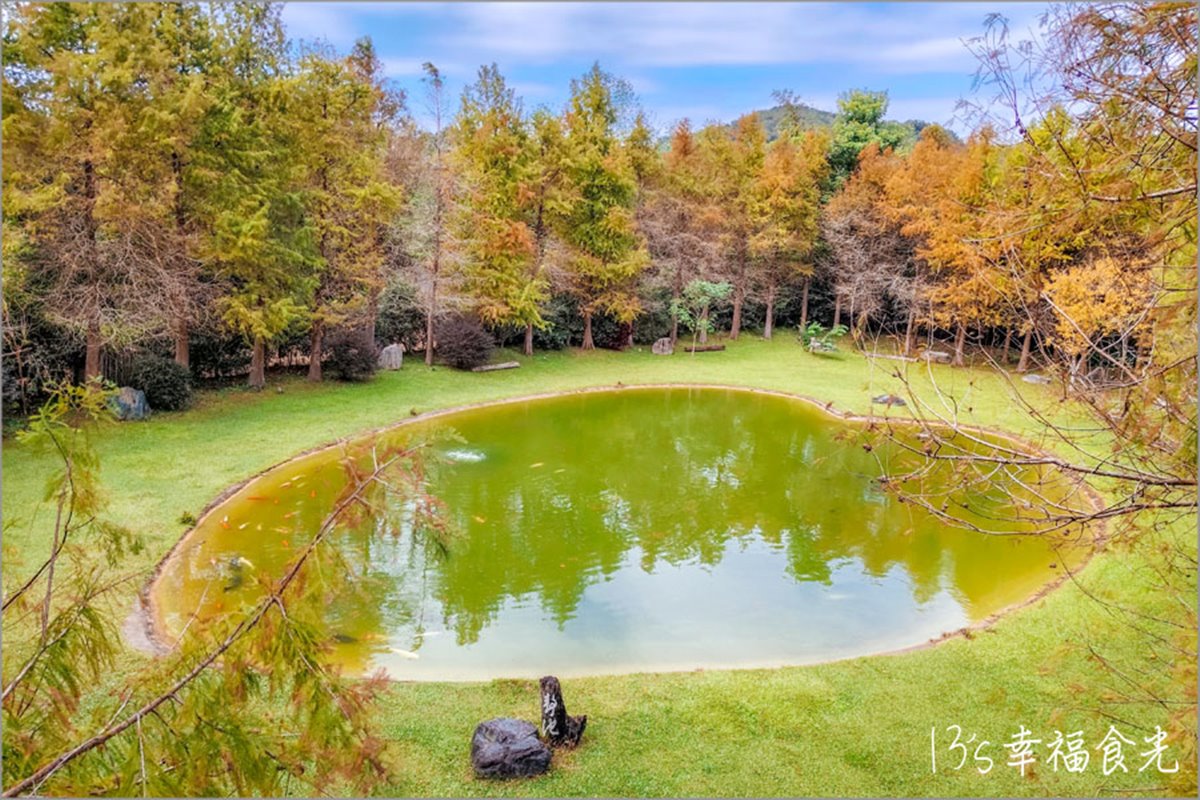 新竹關西秘境！玻璃屋餐廳賞落羽松、喝仙草雞湯，隱藏版愛心池倒影預約才能進