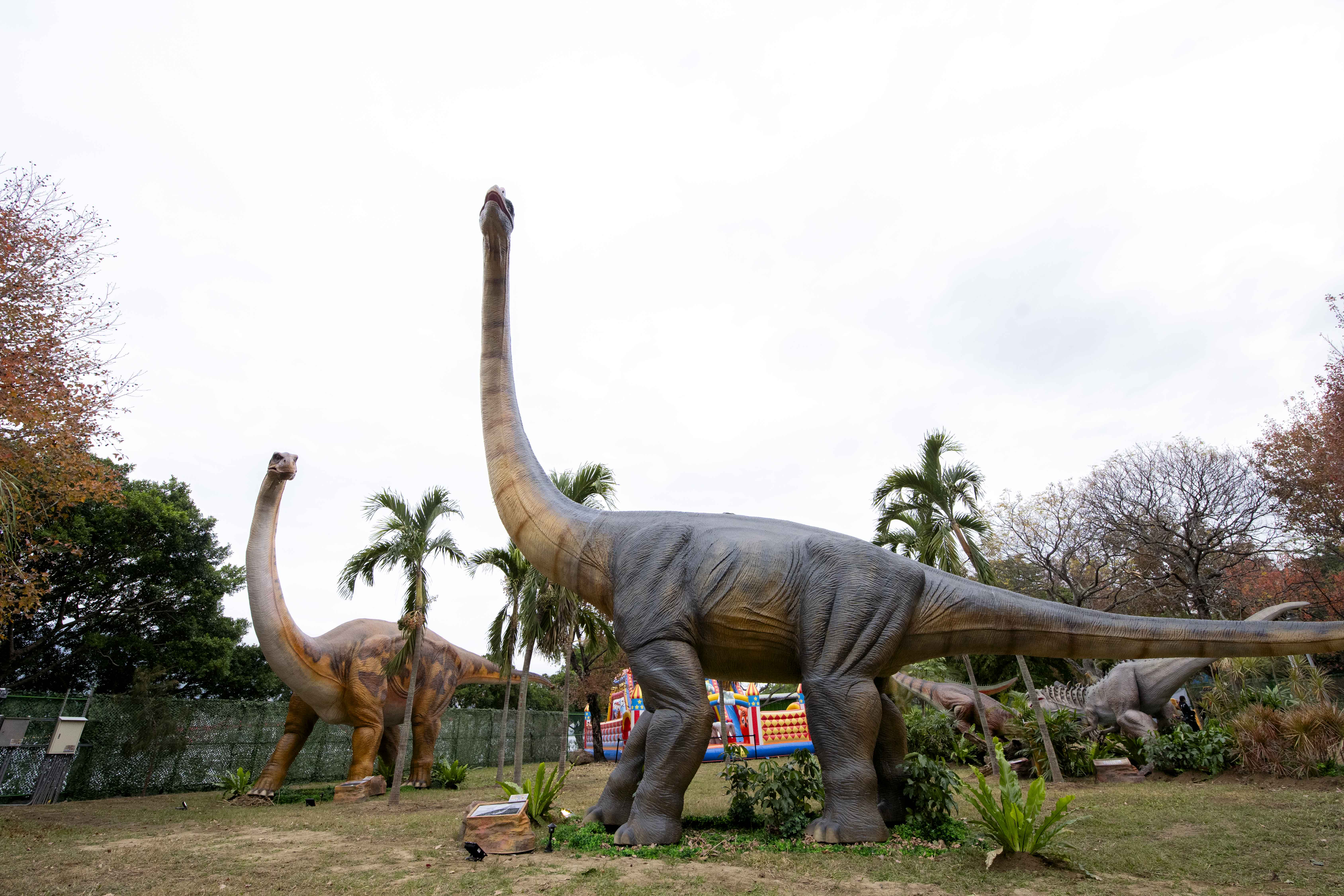 2026台北「展覽＋快閃店」懶人包！亞洲最大「蠟筆小新」、千坪恐龍展、蜷川實花