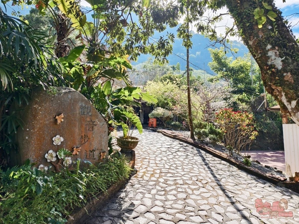 2026梅嶺最佳賞花期來了！美拍20萬株雪白梅樹，假日有免費接駁車可搭