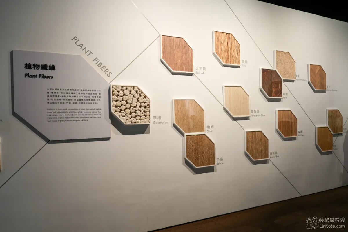 紙箱蓋出世界地標？台中10間超好拍觀光工廠：夢幻冰宮、巨型啤酒箱