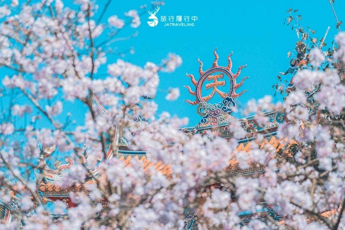 夜櫻變身台版晴空塔！2026天元宮櫻花季登場：夢幻點燈、必換擲爻橡皮擦