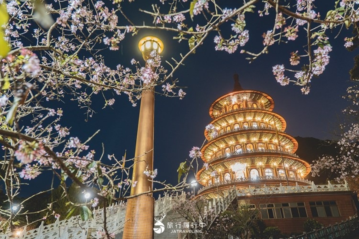 夜櫻變身台版晴空塔！2026天元宮櫻花季登場：夢幻點燈、必換擲爻橡皮擦