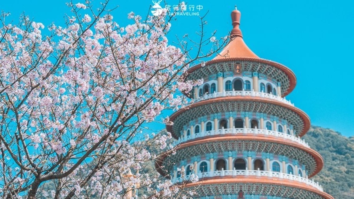 夜櫻變身台版晴空塔！2026天元宮櫻花季登場：夢幻點燈、必換擲爻橡皮擦
