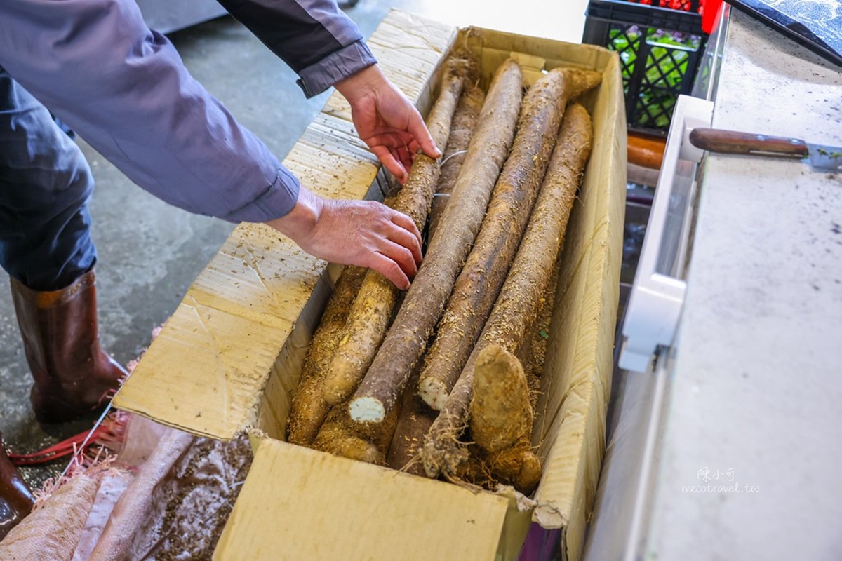 陽明山隱藏版！平菁街帆布棚麻油雞，酒香濃厚湯底免費續，紫山藥湯圓Q彈必點