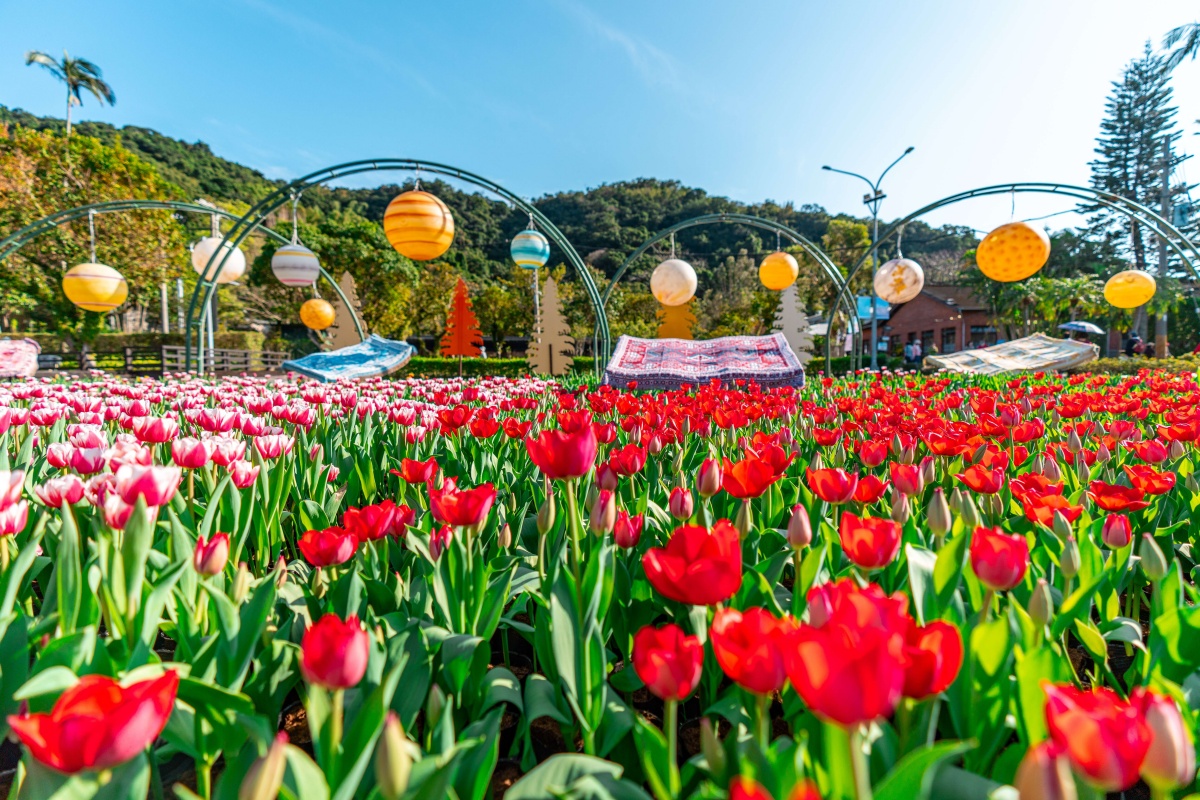 「士林官邸鬱金香展」只有11天！11萬株５大主題區，活動時間＋亮點搶先看