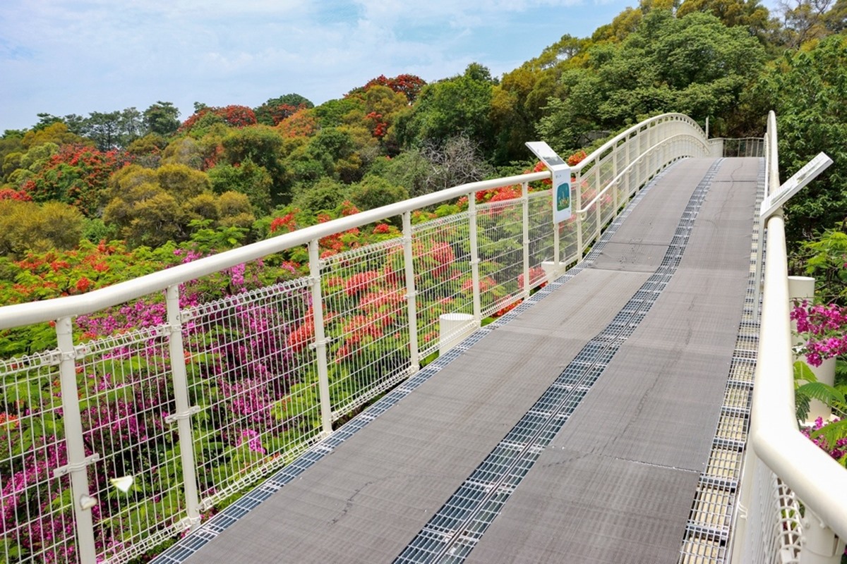 財神爺在等你！中台灣求財拜拜開運地圖：紫南宮領錢母、市場吃飽飽發大財