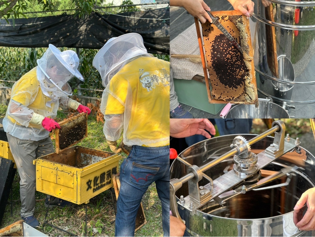 台南親子一日遊！10間觀光工廠玩透透：包子闖關、烤香腸體驗、蜂蜜採收
