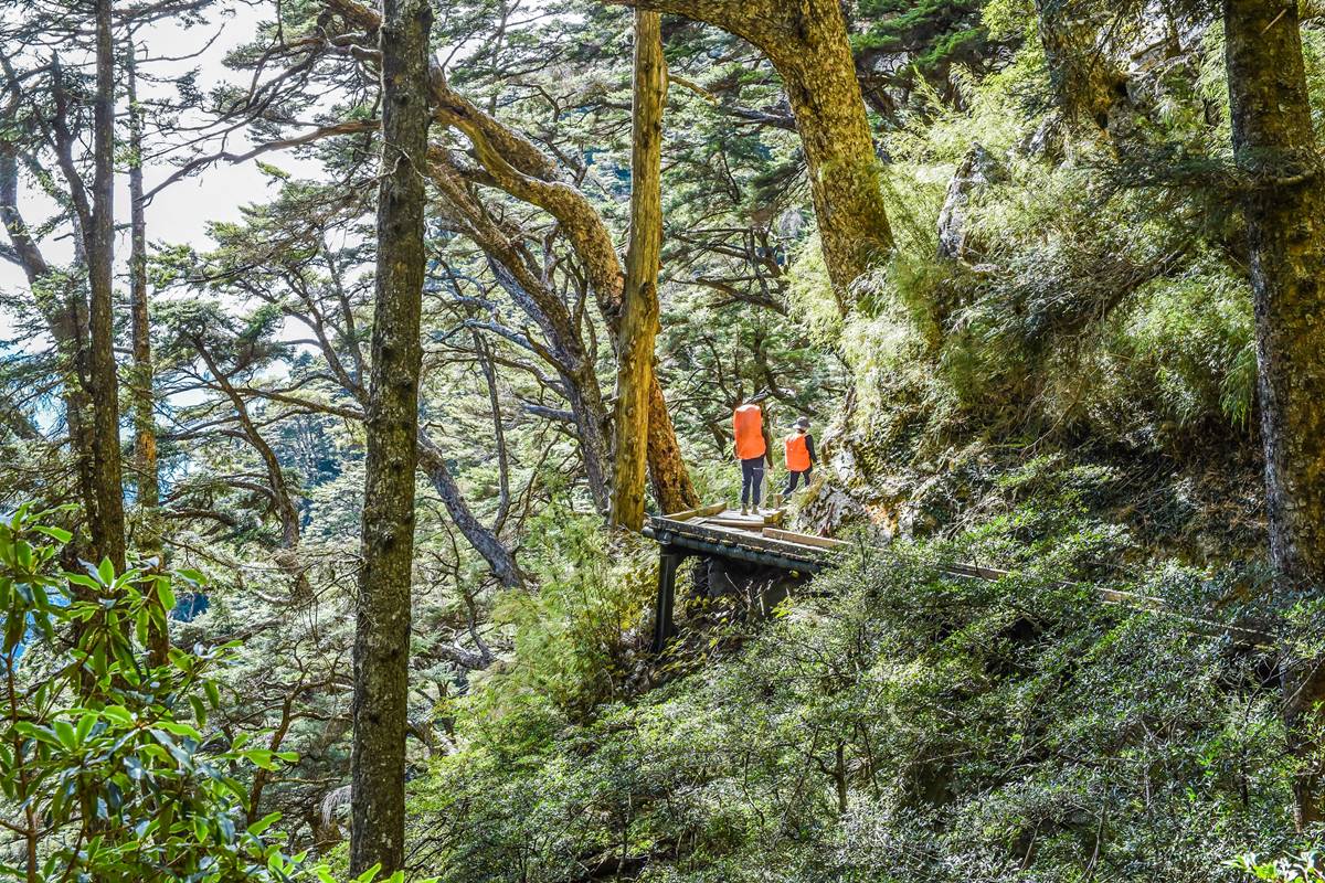 大學想讀「１冷門科系」被長輩反對！過來人曝出路廣，畢業後月薪達5.3萬