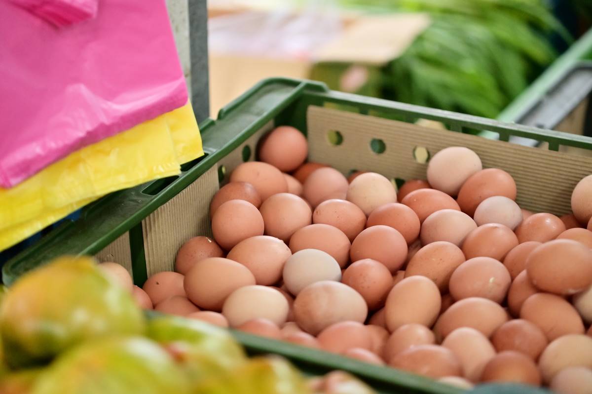 台中爆發禽流感！專家曝光吃蛋安全守則：現階段「２種食物」絕對不能吃