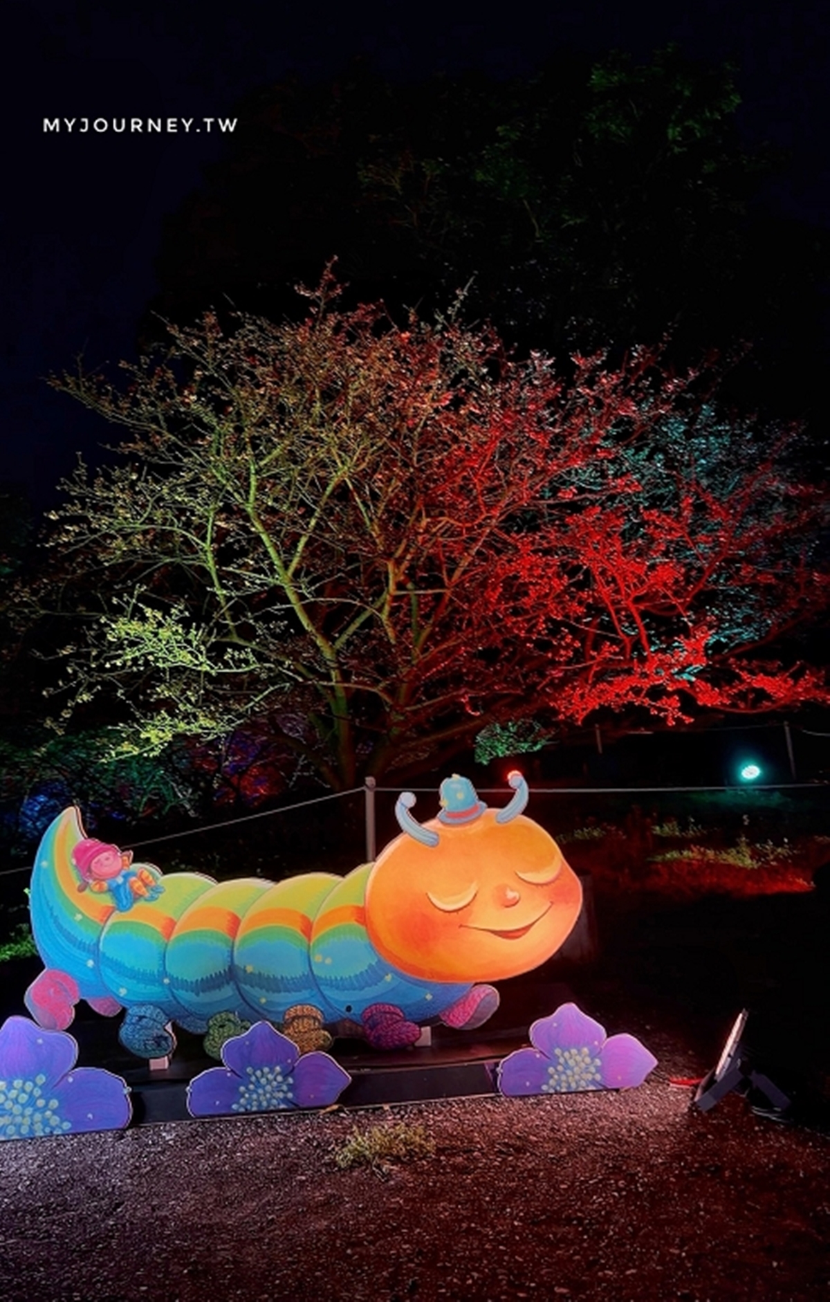 夜櫻變身台版晴空塔！2026天元宮櫻花季登場：夢幻點燈、必換擲爻橡皮擦