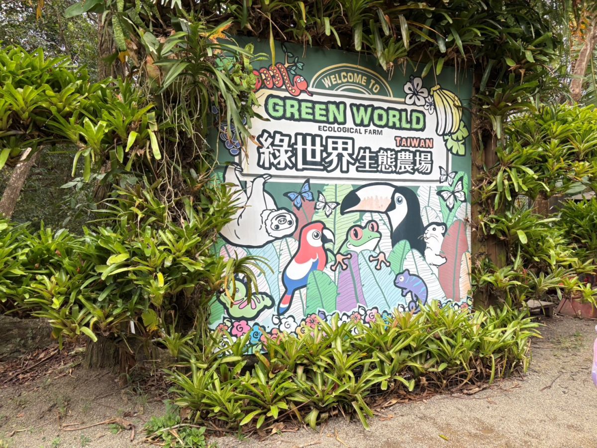 拿出身分證！新竹動物農場過年５天「屬馬」免費，六福村也有「姓馬」免費玩