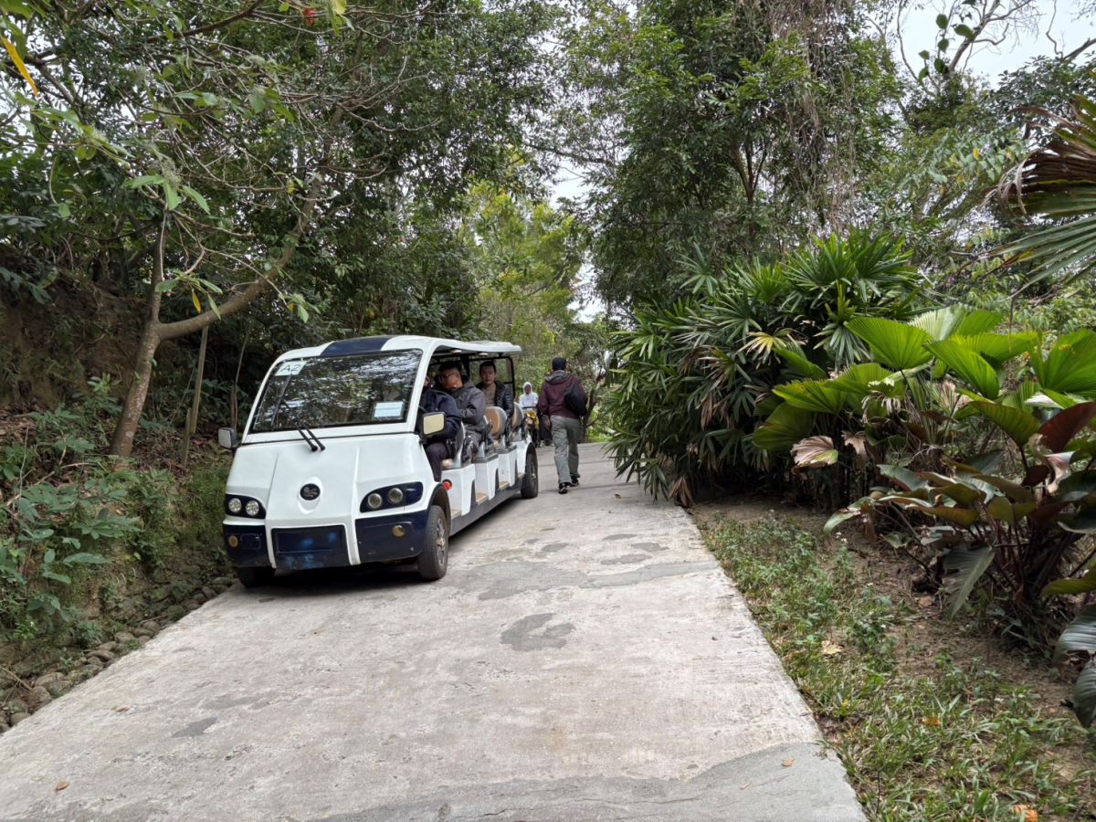 拿出身分證！新竹動物農場過年５天「屬馬」免費，六福村也有「姓馬」免費玩