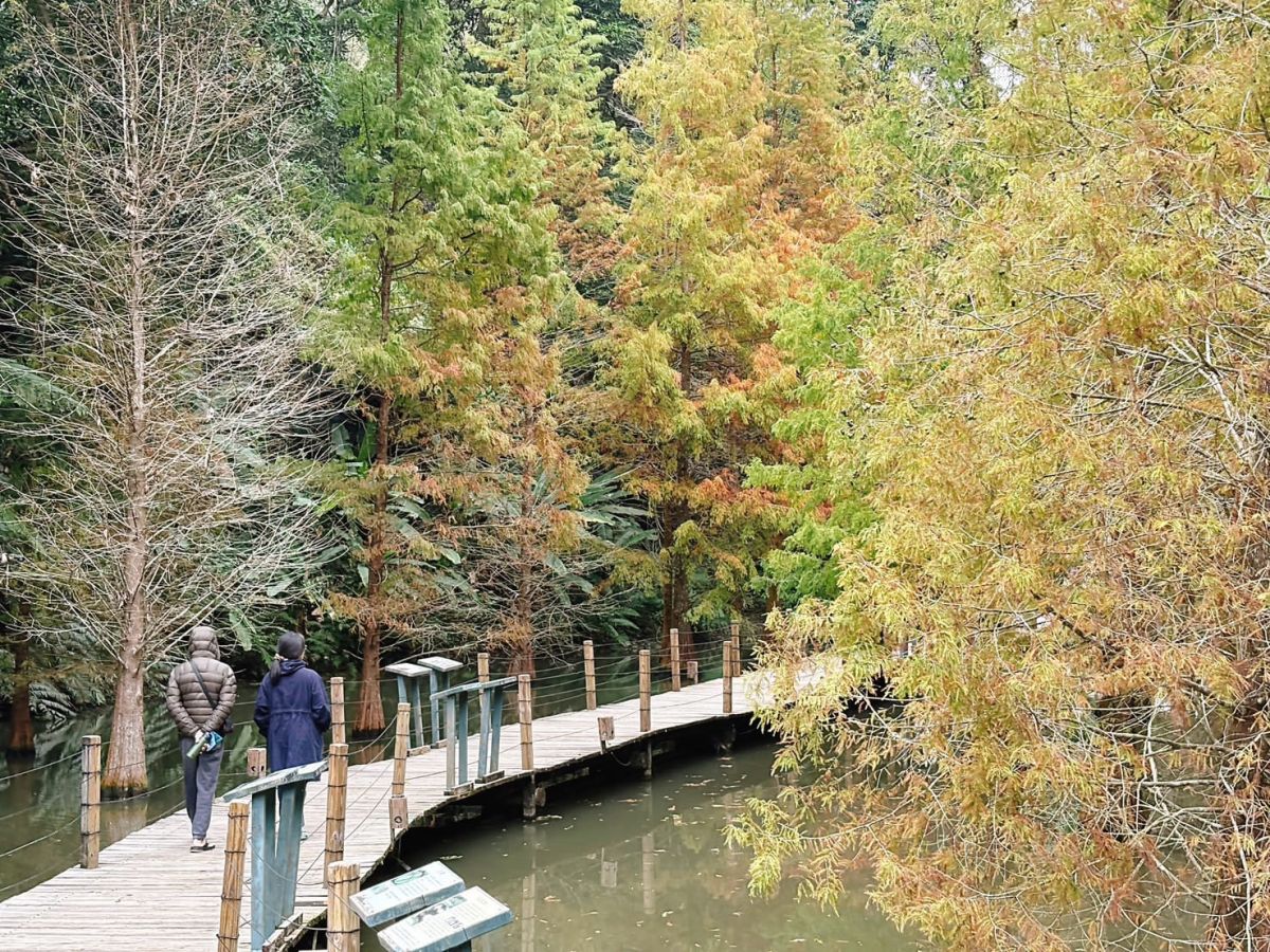 拿出身分證！新竹動物農場過年５天「屬馬」免費，六福村也有「姓馬」免費玩