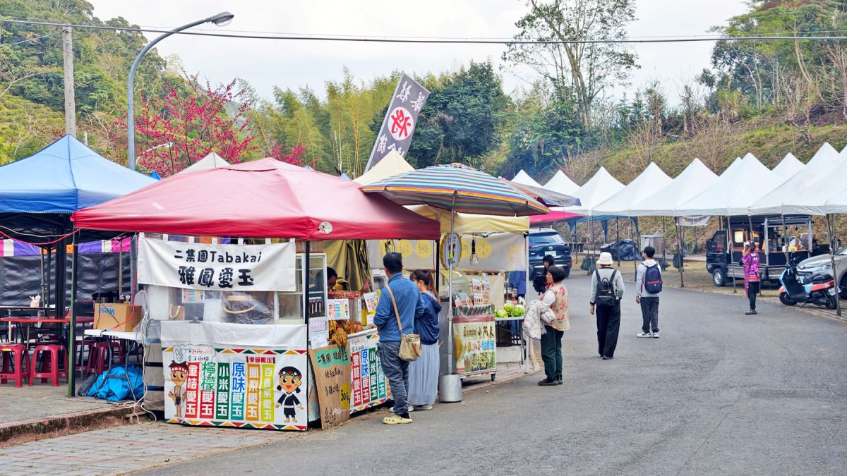 高雄最強免費賞櫻秘境！2026櫻花滿開中，美拍河津櫻粉紅花海、有免費接駁車