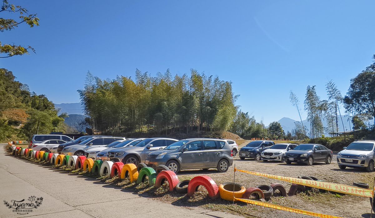 高雄最強免費賞櫻秘境！2026櫻花滿開中，美拍河津櫻粉紅花海、有免費接駁車