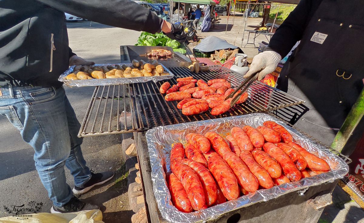 高雄最強免費賞櫻秘境！2026櫻花滿開中，美拍河津櫻粉紅花海、有免費接駁車