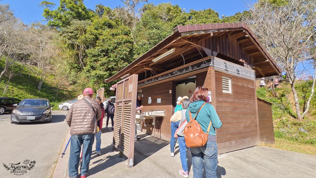 高雄最強免費賞櫻秘境！2026櫻花滿開中，美拍河津櫻粉紅花海、有免費接駁車