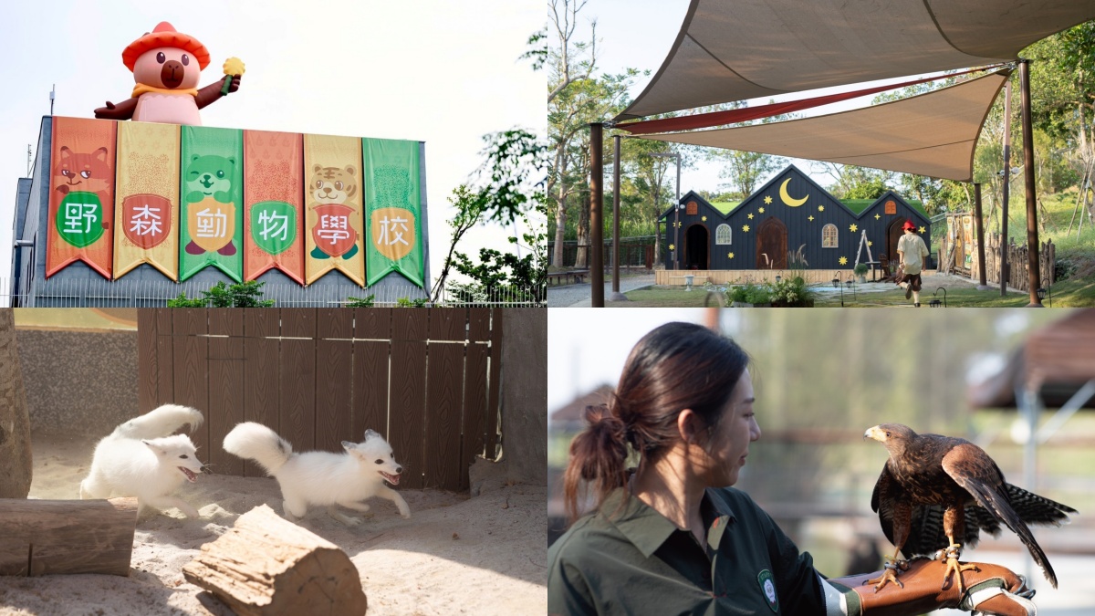 高雄親子景點｜野森動物學校
